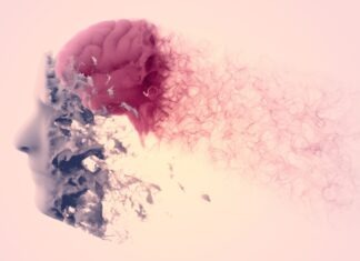 Dementia in focus