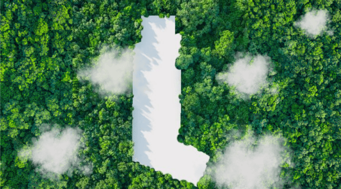 Environmentally responsible inhaled respiratory treatments – Implications for practice