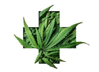 Medicinal cannabis goes mainstream, but safety concerns are growing
