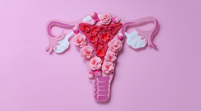 Is menopause care changing for the better?