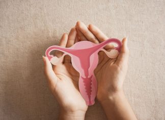 Mare’s urine and women’s health go back in time together
