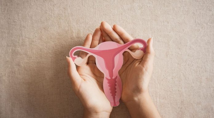 Mare’s urine and women’s health go back in time together