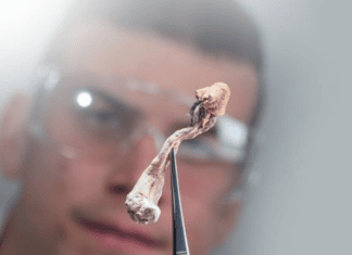 The therapeutic potential of psychedelics