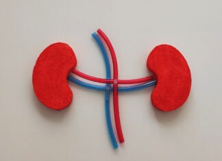 Ozempic now indicated to prevent CKD progression Ozempic