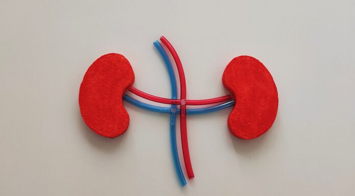 Ozempic now indicated to prevent CKD progression Ozempic