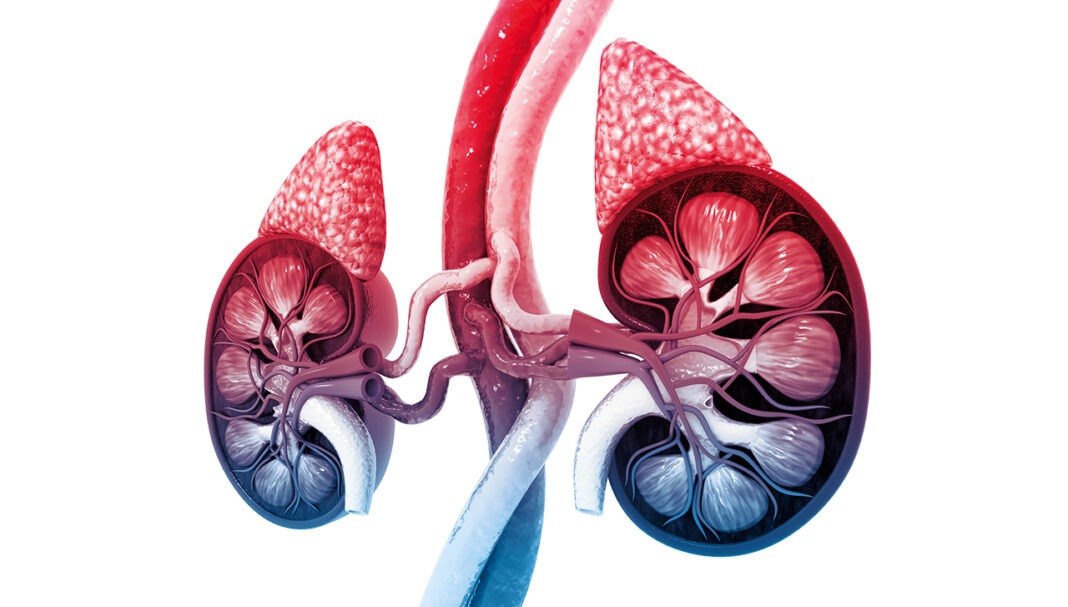 adrenal-insufficiency-GettyImages-1088351200