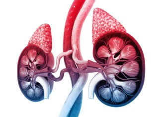 Adrenal insufficiency: recognition, management and lifelong support