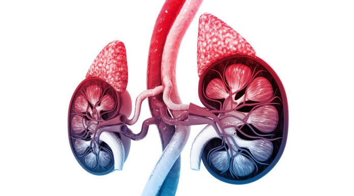 Adrenal insufficiency: recognition, management and lifelong support
