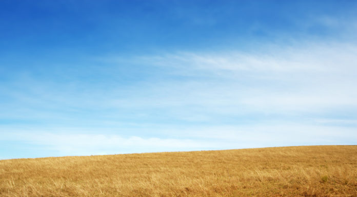 Going bush: rewards of rural pharmacy rural pharmacy