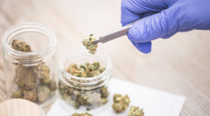 Medicinal cannabis: Patient access and clinical evidence Medicinal cannabis