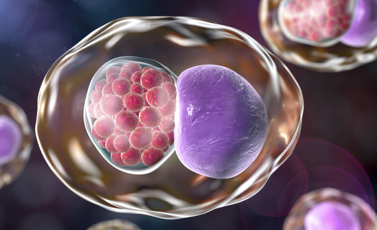 Pharmacy-based STI testing