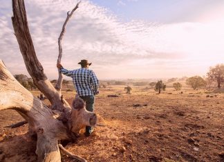 Rural pharmacists urged to have their say rural and remote