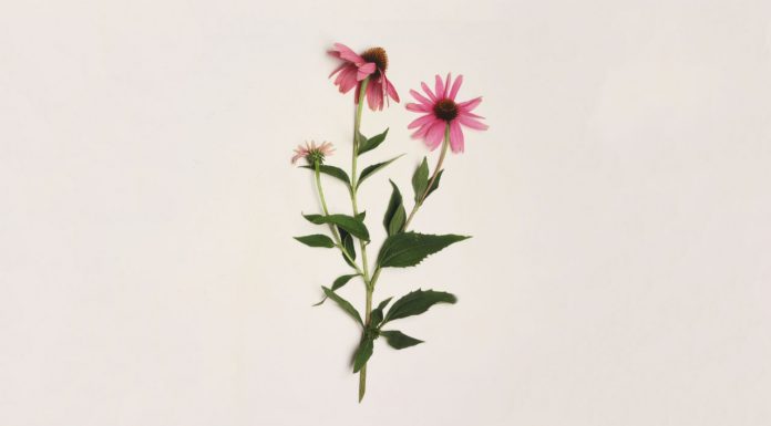 Choosing wisely: Complementary medicines Complementary medicines