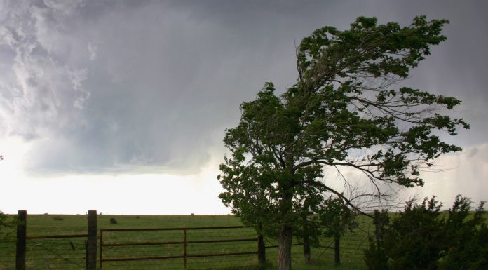 Thunderstorm asthma in spring NAC