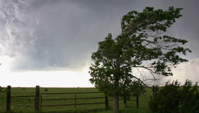 Thunderstorm NAC