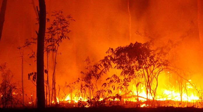 RACGP on dispensing during disasters