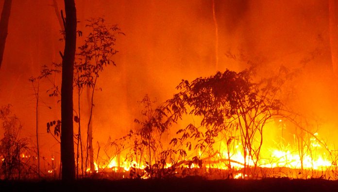 racgp-dispensing-disasters-feature