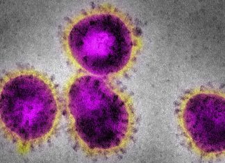 Pharmacists warned to be on alert for coronavirus infections