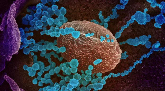 Government prepares with COVID-19 pandemic plan
