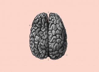 Chlorpromazine: from antihistamine to antipsychotic Chlorpromazine