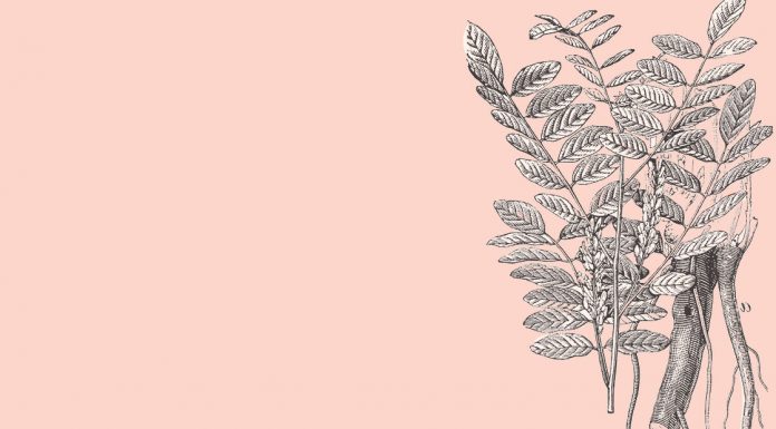 Liquorice: from sweet treat to modern treatment Liquorice