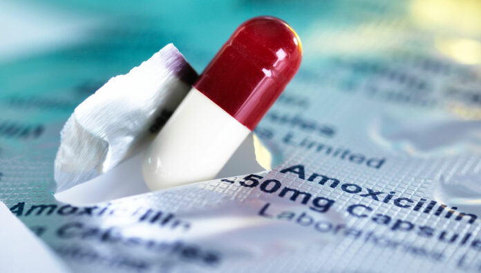 antimicrobial_web antibiotics