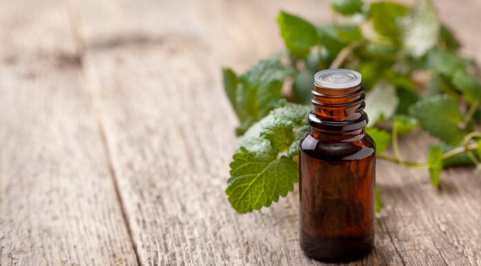 The mythic mint Bottle of essential oil with fresh mint leaves, illustrating mythic mint benefits