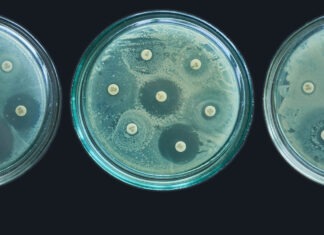 OECD sounds the alarm on antimicrobial resistance