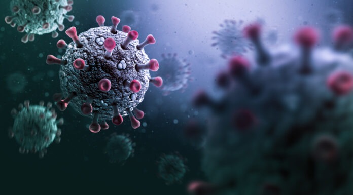 Intranasal vaccine stops infection at the source
