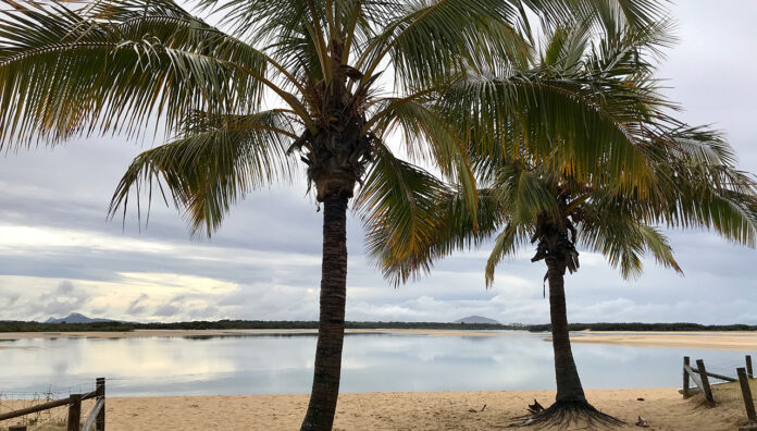 The_bank_of_Maroochy_River_in_Cotton_Tree,_Queensland_01_WEB beachside pharmacy