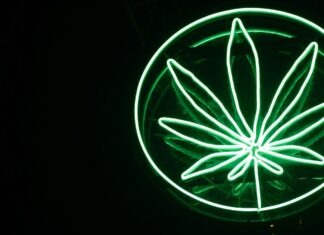Limited evidence for medicinal cannabis in most mental health conditions