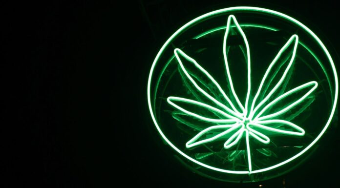 Limited evidence for medicinal cannabis in most mental health conditions