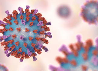 RSV vaccination will be funded for older adults RSV vaccination