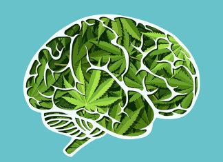 Cannabis psychosis risk rises with age medicinal cannabis