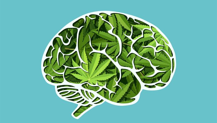 GettyImages-1031454730_WEB medicinal cannabis