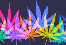 medicinal cannabis