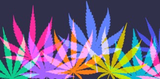medicinal cannabis