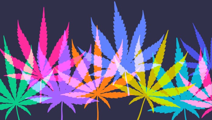 medicinal cannabis