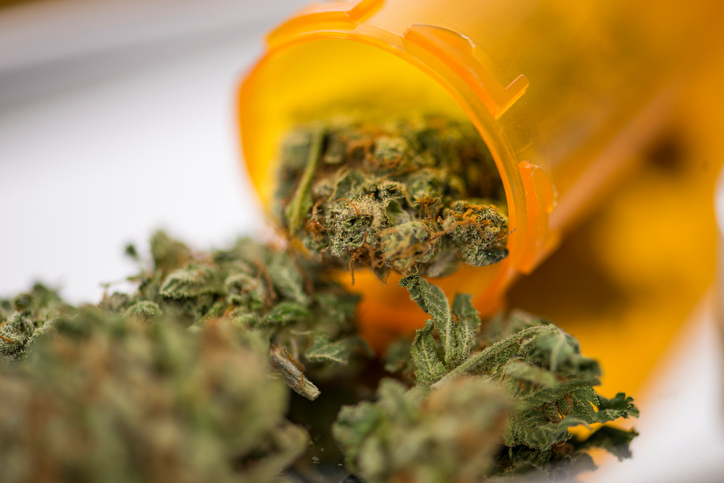 Green light for medicinal cannabis - Australian Pharmacist