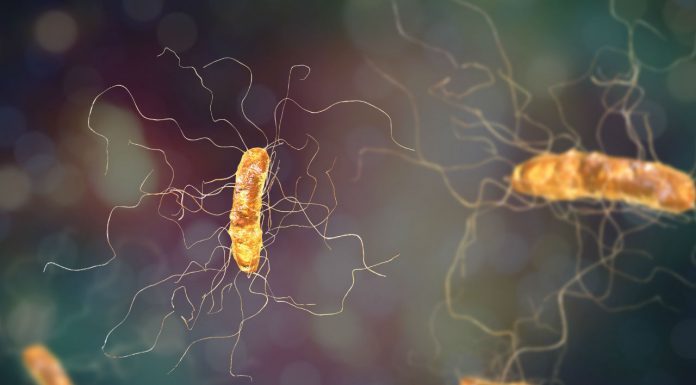 Antibiotic Resistance
