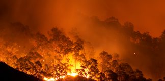 Bushfire at night