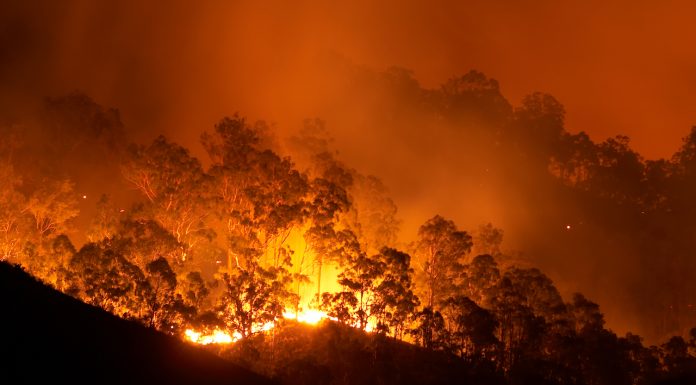 Bushfire at night