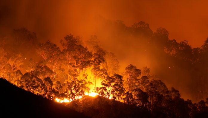 Bushfire at night