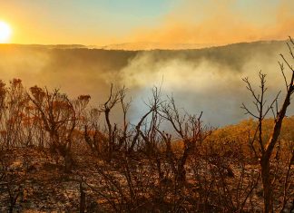 bushfires