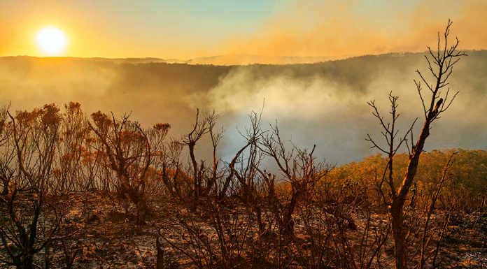 bushfires