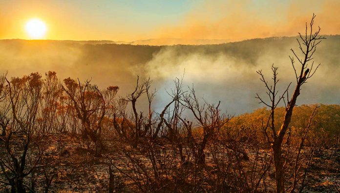 bushfires