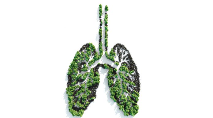 chronic obstructive pulmonary disease (COPD)