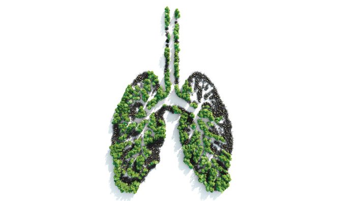 chronic obstructive pulmonary disease (COPD)