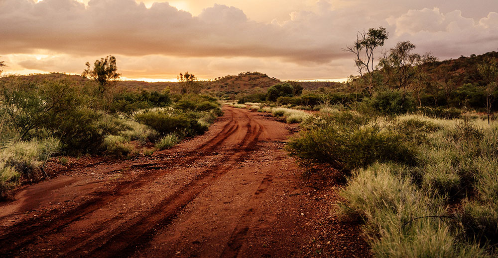 In the latest of its reports, Medicine safety: rural and remote care, PSA outlines the imbalance between city and rural and remote pharmacist workforces.