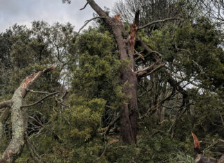 Thousands of residents continue to be left without electricity or running water after a Victorian storm.